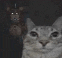 Deadvelocity's tweet photo. @viennavtuber When I get the notification bro updated his status to "turn around.." https://t.co/pqAZHwfgh0
