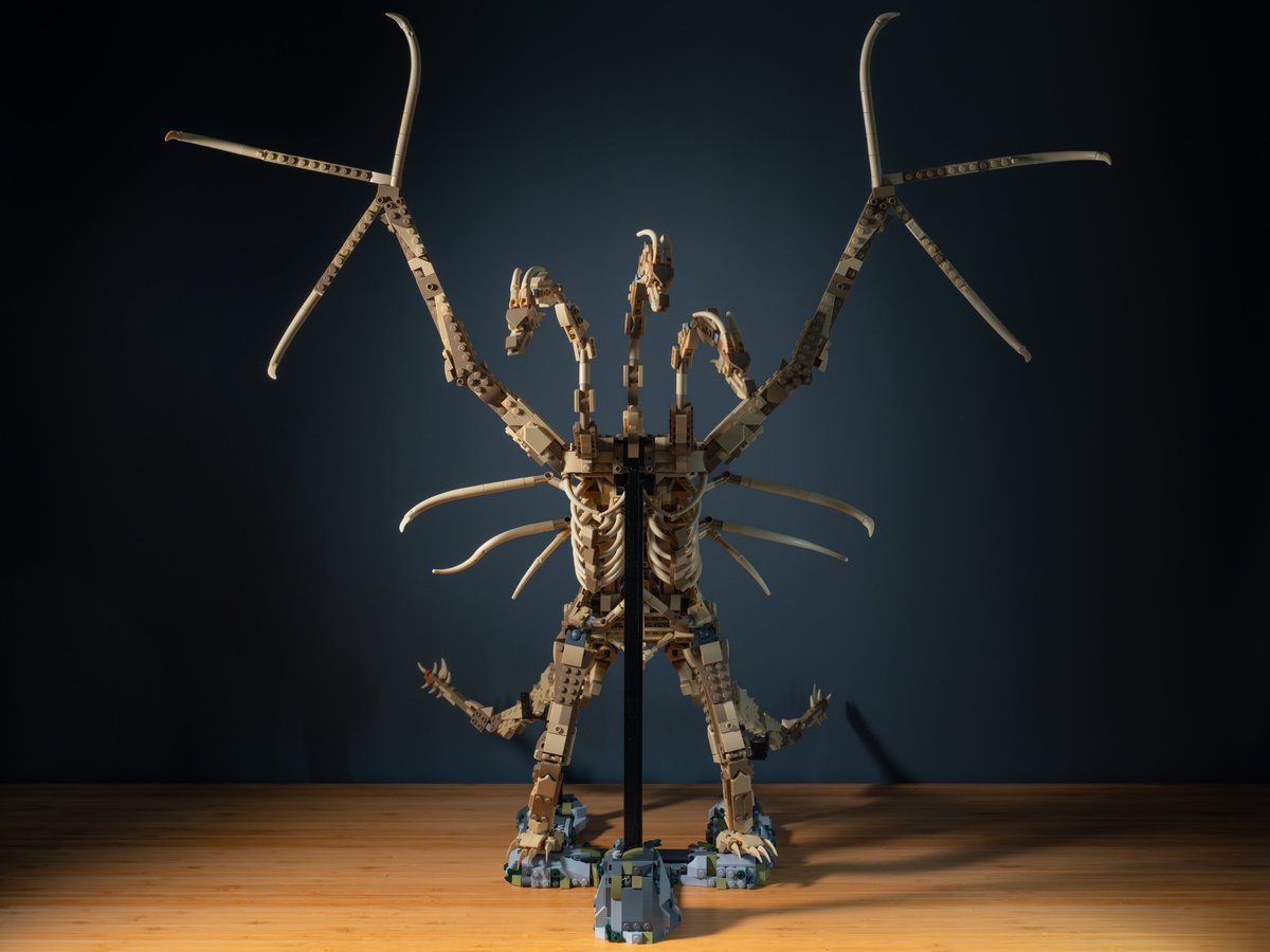 nopingrid tweet media