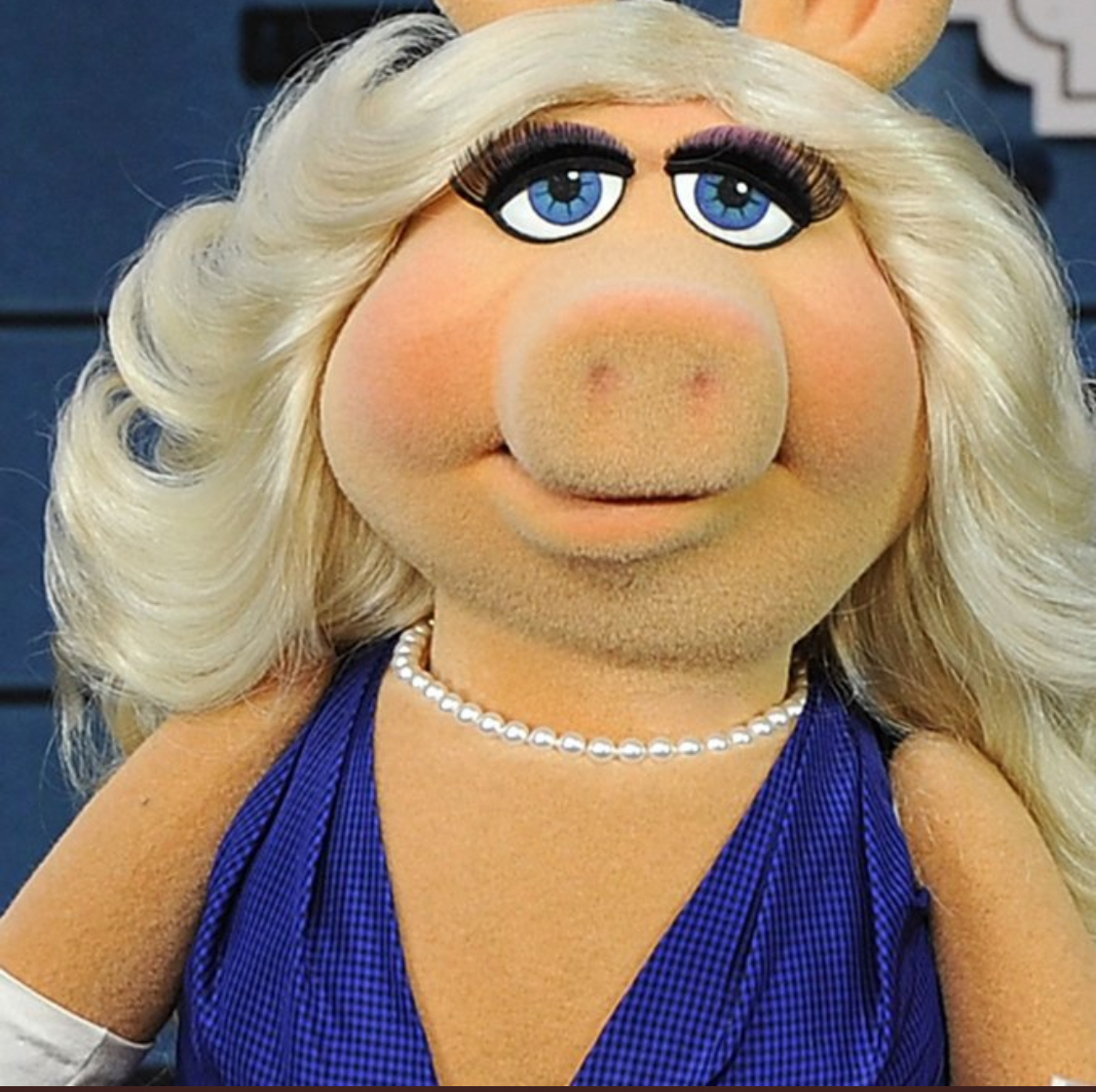 Giordano Bruno tweet media