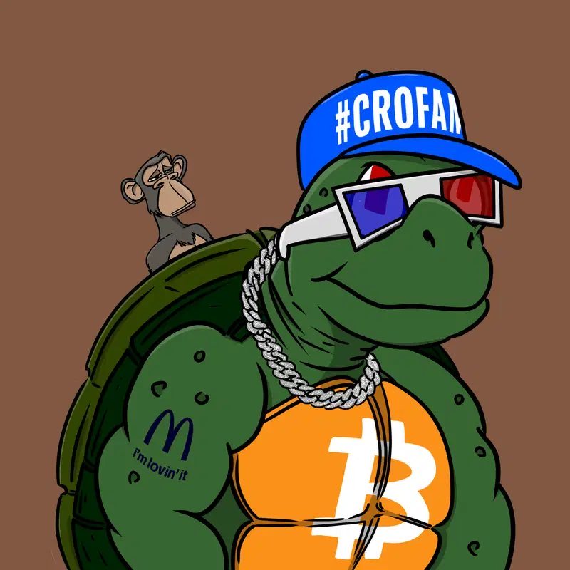 InRestoreITrust's tweet photo. @Cronos_Chris @cryptocom @TurtleonCro $TURTLE IS THE TICKER #crofam https://t.co/XGtJdlwo2H
