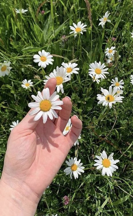 aymann.^᪲᪲᪲ tweet media