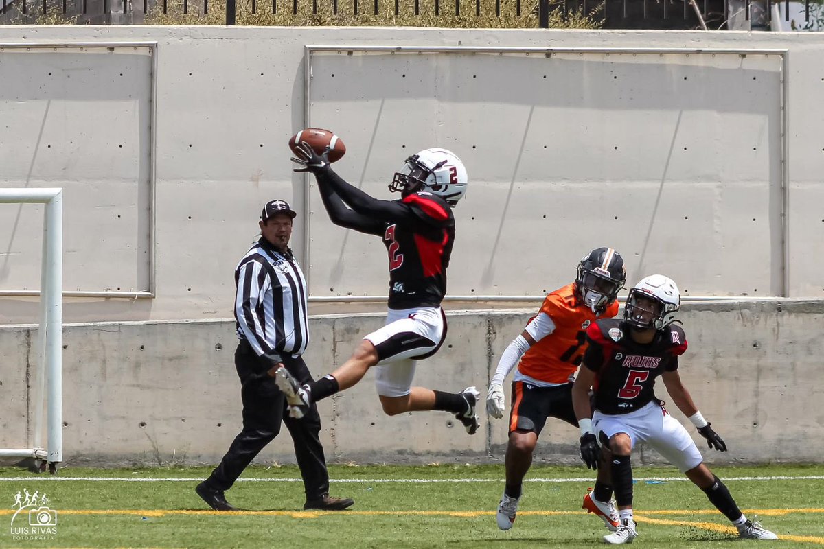 Rodrigo Mtz Hecker tweet media