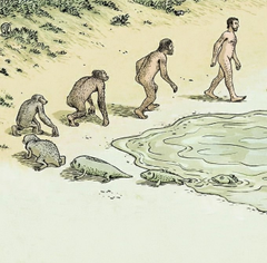 Heterosexual Caucasian Global Corruption Analyst tweet media