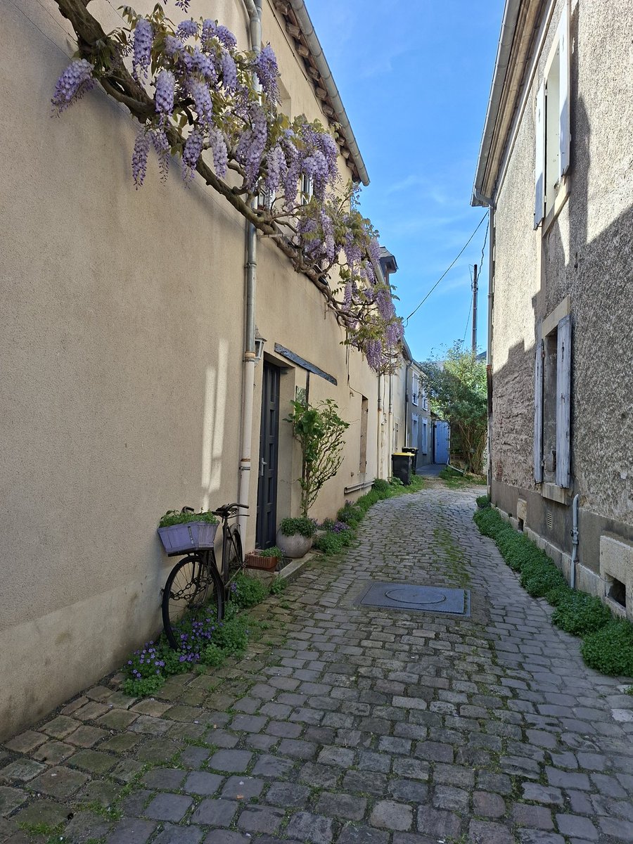 Sorcière du Berry 🦂 tweet media