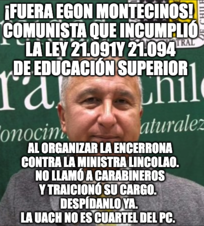 Tere. Mal año para ser zurdo. tweet media