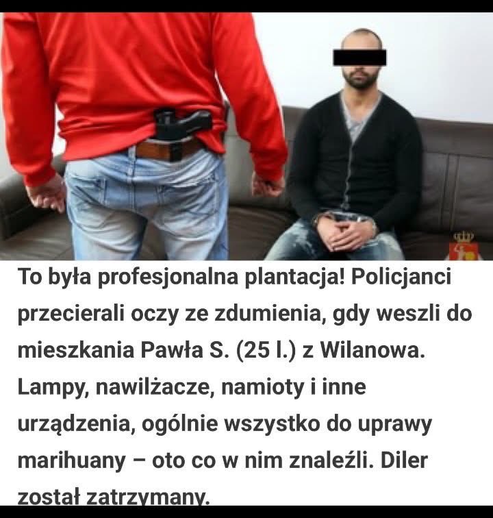 Marcin Wilk tweet media