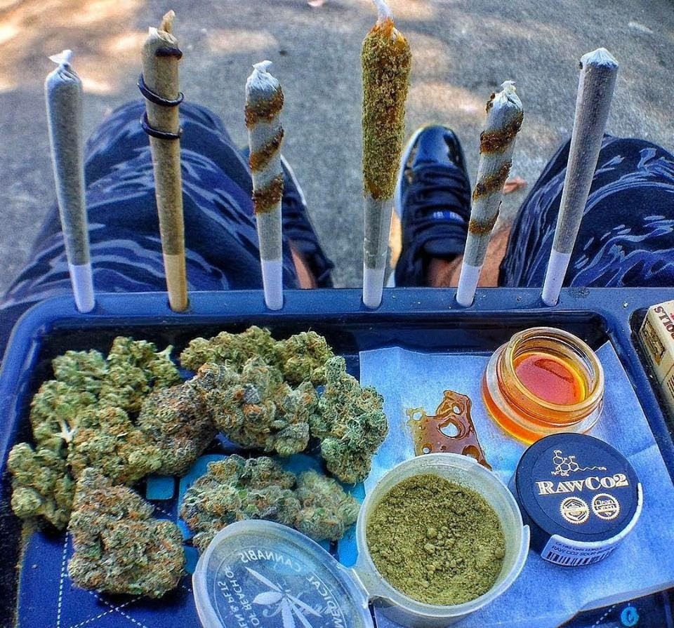 🤤🤤🤩🤩