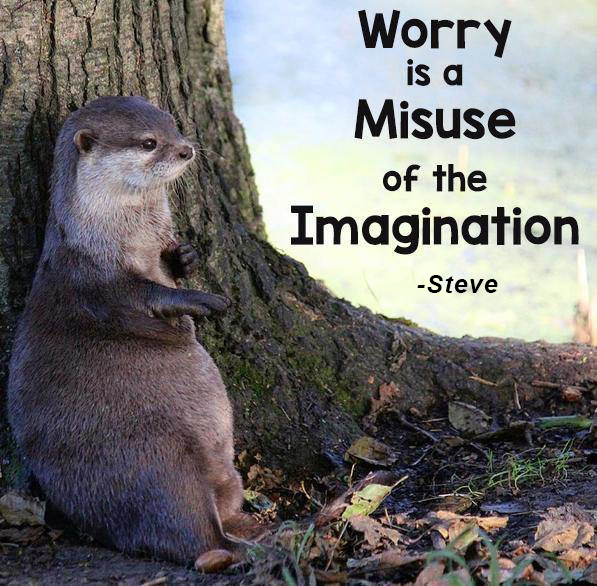 In Otter News.... tweet media
