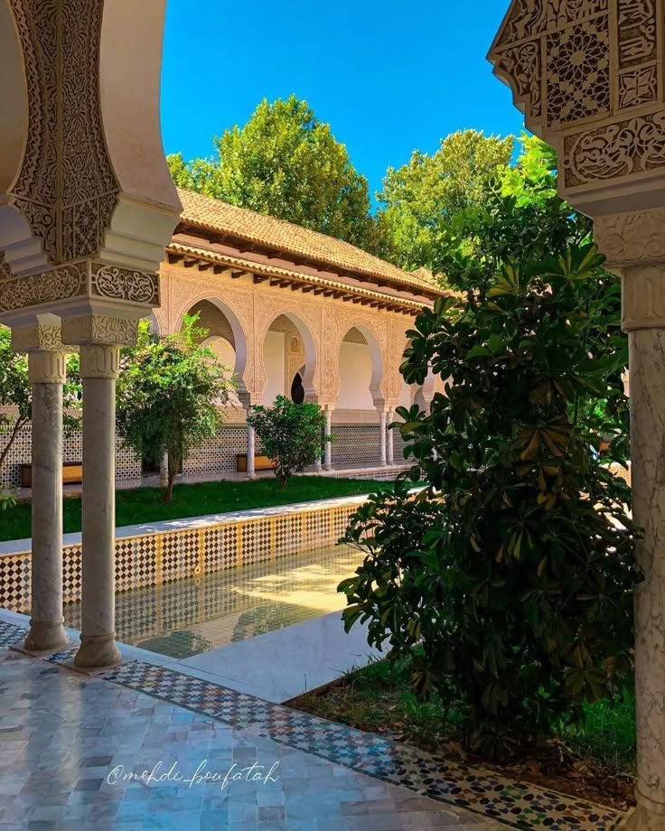 Algeria First 🇩🇿 tweet media