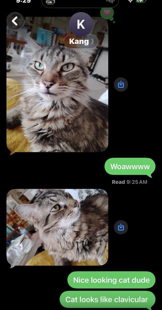 MrSpringFlowersTake3 tweet media