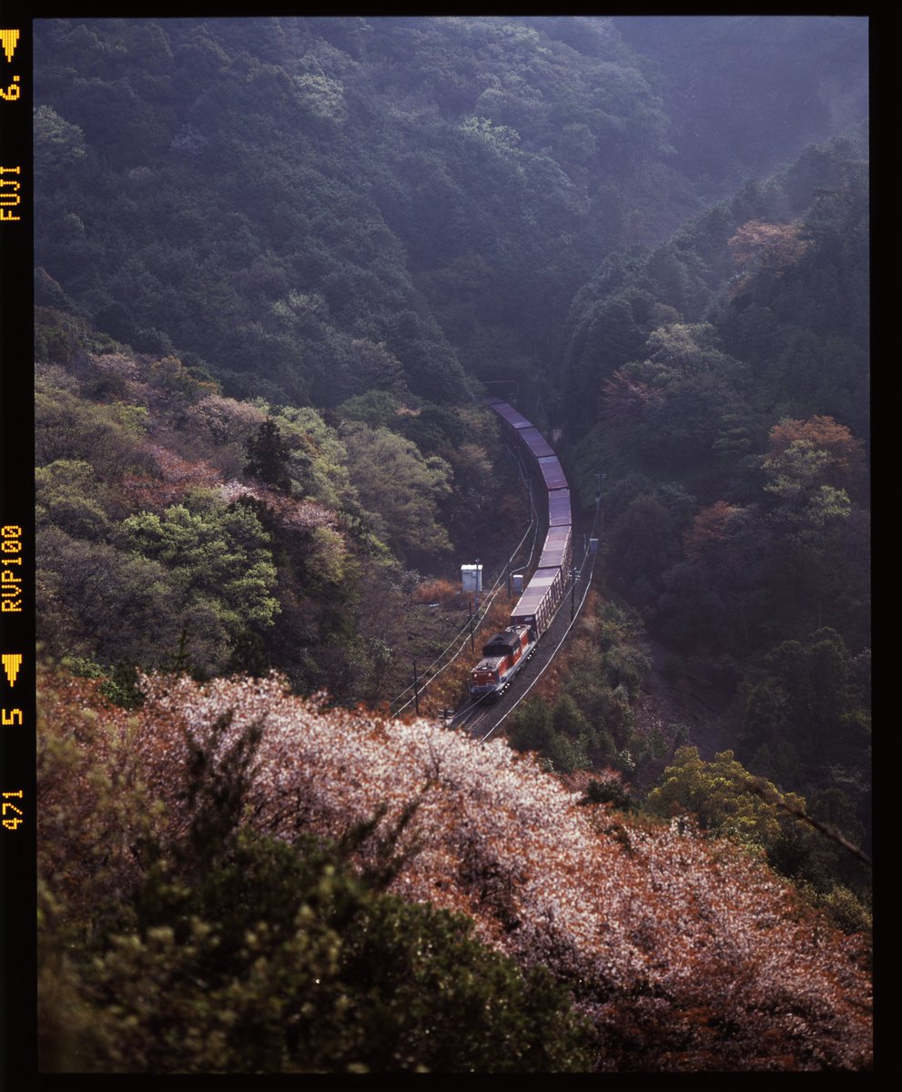 ggBetCH2up66784's tweet image. 荷坂の山桜
15年前の今日は山笑う荷坂の山腹に居たよう。
荷坂峠にもあちこちに山桜ポイントがあったが、中でもここ大名倉俯瞰は随一だった。

2011.4.16  2089列車　DD51 1801+コキ　紀勢本線　梅ケ谷～紀伊長島
PENTAX67Ⅱ　165mm　RVP100
#PENTAX67