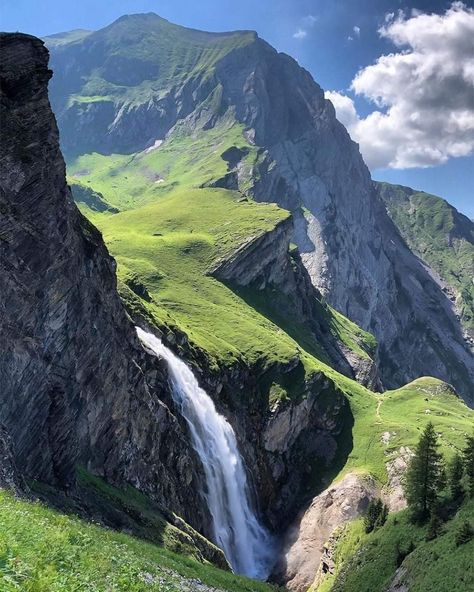 Hope_pixel tweet media