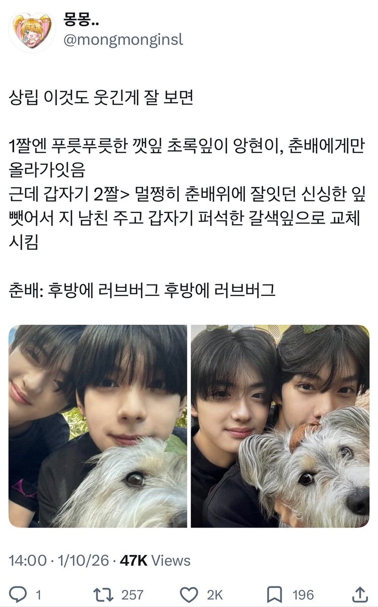 몽몽.. tweet media