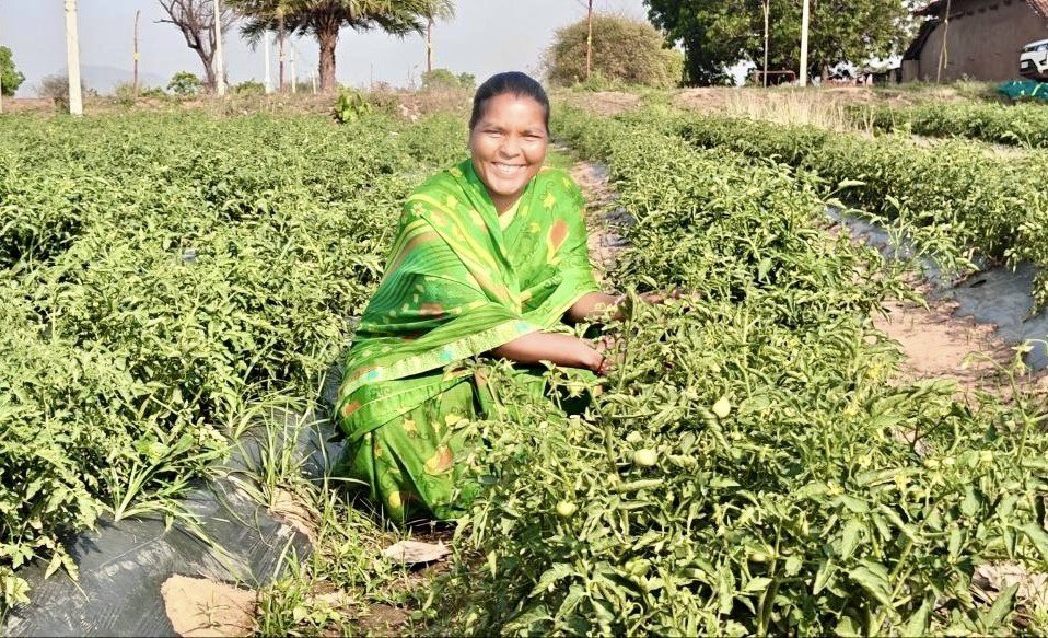 Balrampur(chhattisgarh) tweet media