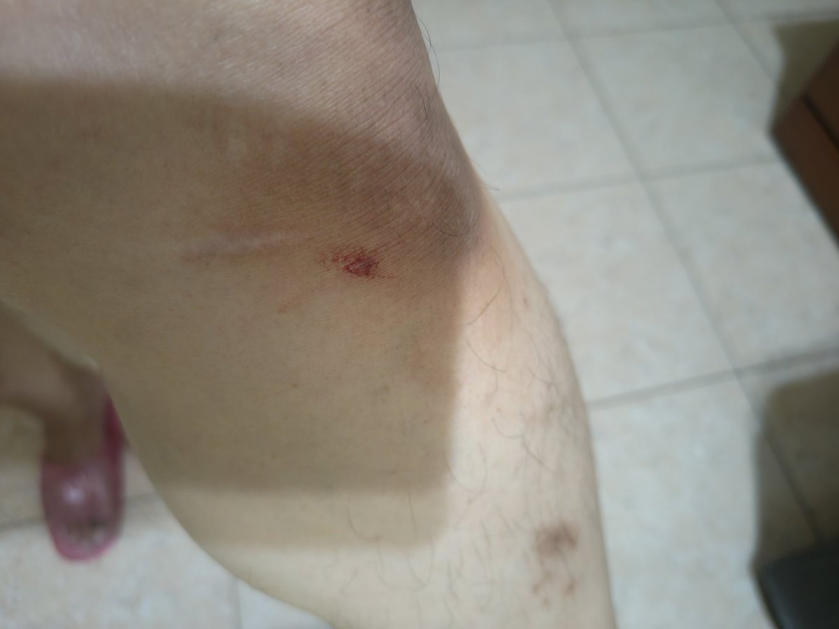 Magic_arbor🔞🇹🇼 tweet media