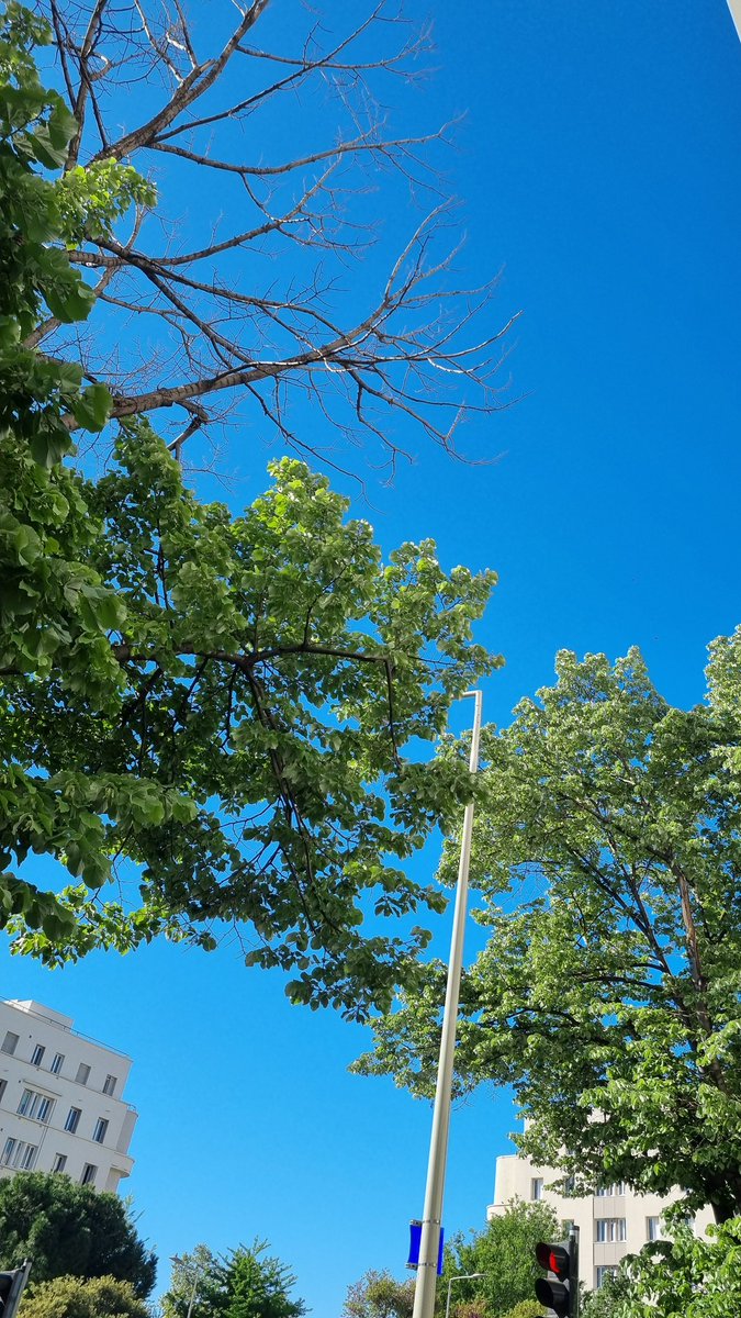 Sassukee tweet media