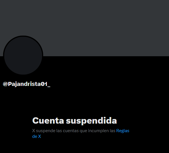 SonicJP (アロネル 🦔) tweet media