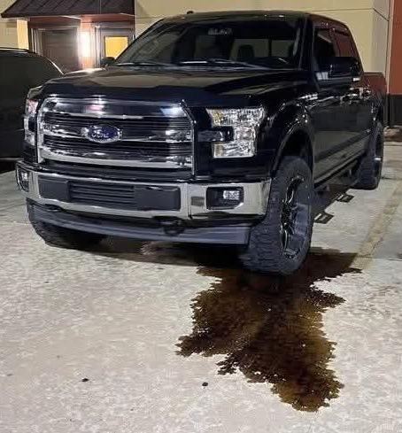 RobotPete of Selwyn! tweet media