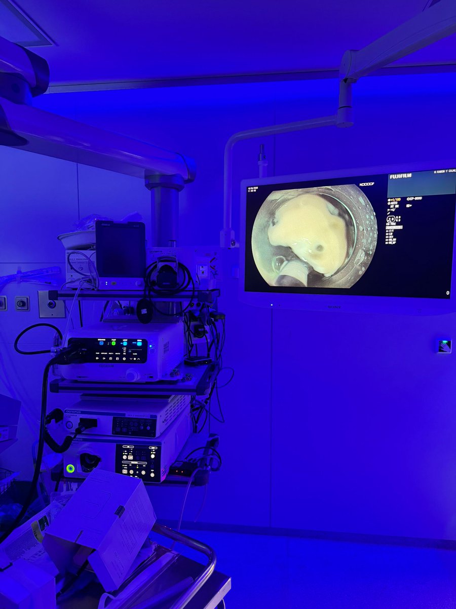 SEEDendoscopia's tweet photo. Talleres de simulación #SEEDlive2026 👏
Así hemos vivido los hands on en #CPRE y #USE biblio-pancreática, #diseccion y #sutura  #endoscopiadigestiva
Un entrenamiento práctico intensivo diseñado por la Sociedad Española de Endoscopia Digestiva, para que médicos residentes, gastroenterólogos y cirujanos adquieran habilidades técnicas reales en un entorno seguro y controlado
https://t.co/mTbMYyIiGH