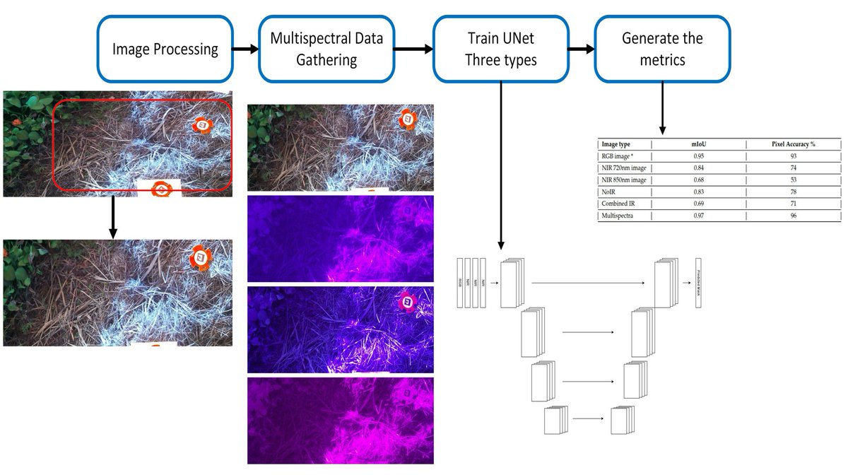 RemoteSens_MDPI's tweet image. 💧💧 Advancing #Water Hyacinth Recognition: Integration of #DeepLearning and #Multispectral Imaging for Precise Identification

✍️ Diego Alberto Herrera Ollachica et al.
🔗 brnw.ch/21x1EHf