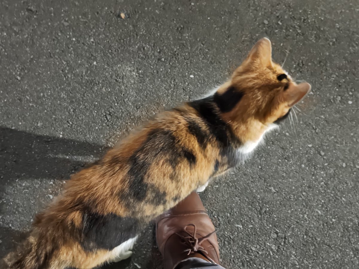 いいだ®️ tweet media