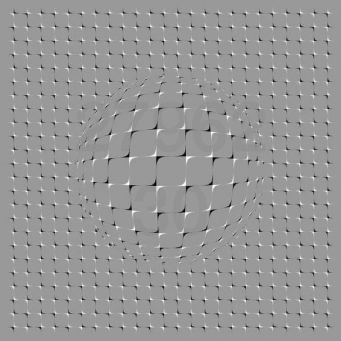 Kripto Capris tweet media