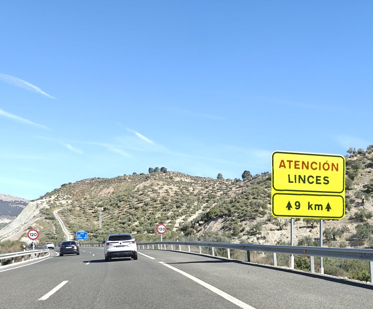 Marcos C. R. tweet media