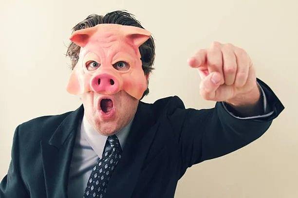 Tanguy Lacroix 🇫🇷 tweet media