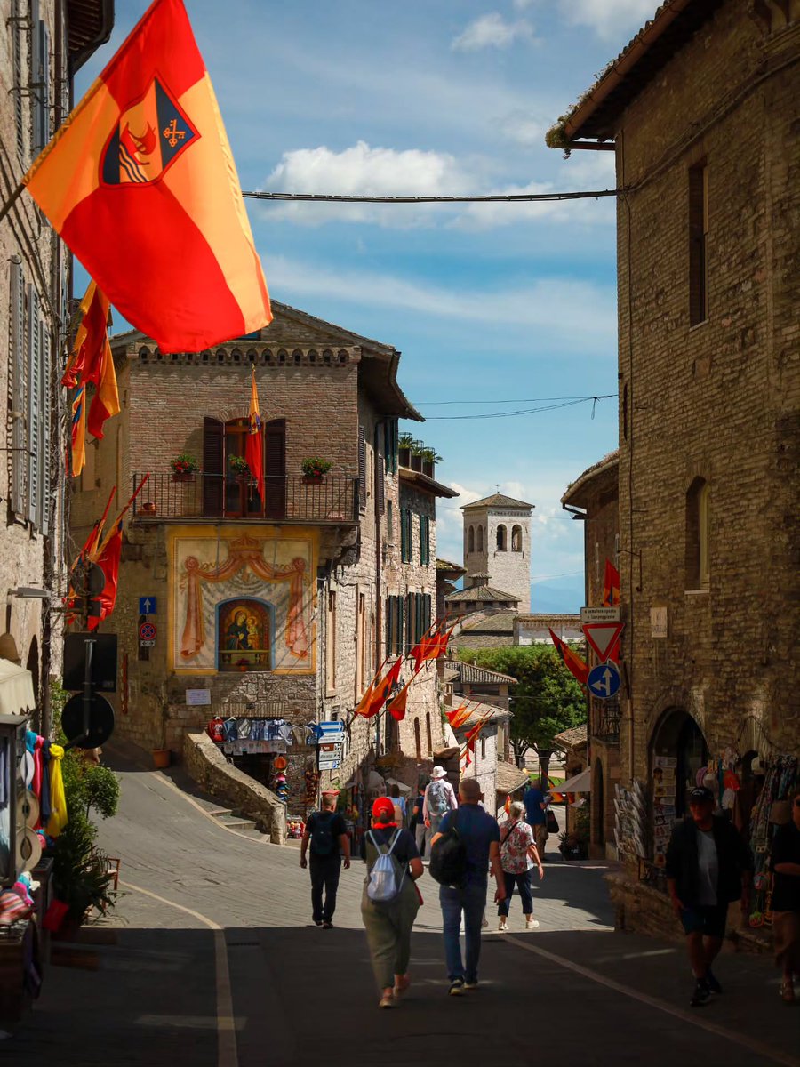 Wander Aesthetic tweet media