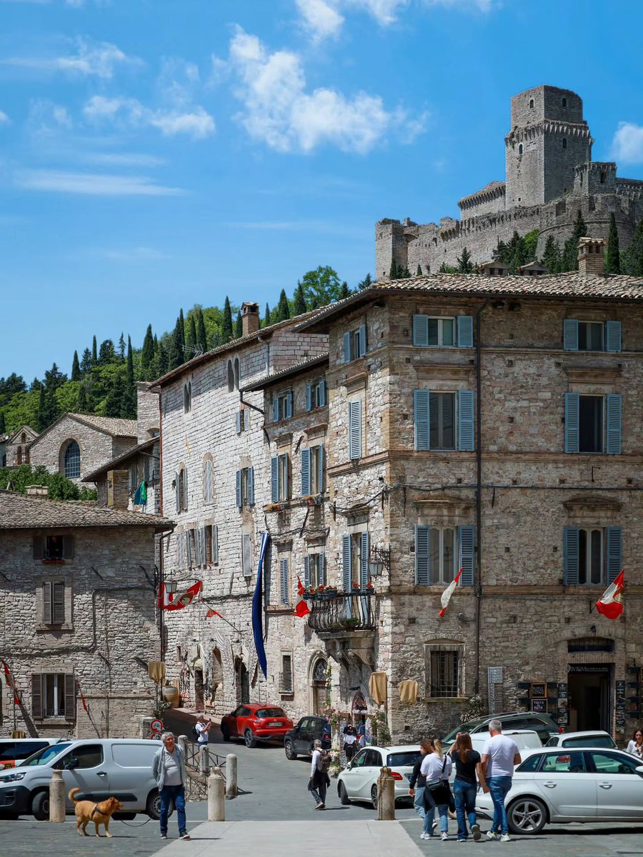 Wander Aesthetic tweet media