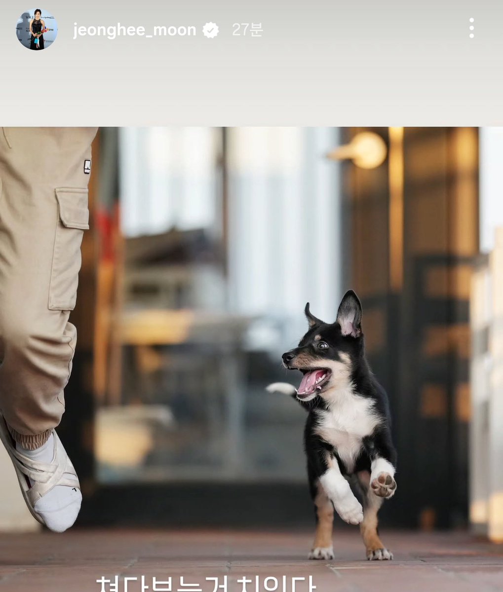 귀여워 말투뭐야