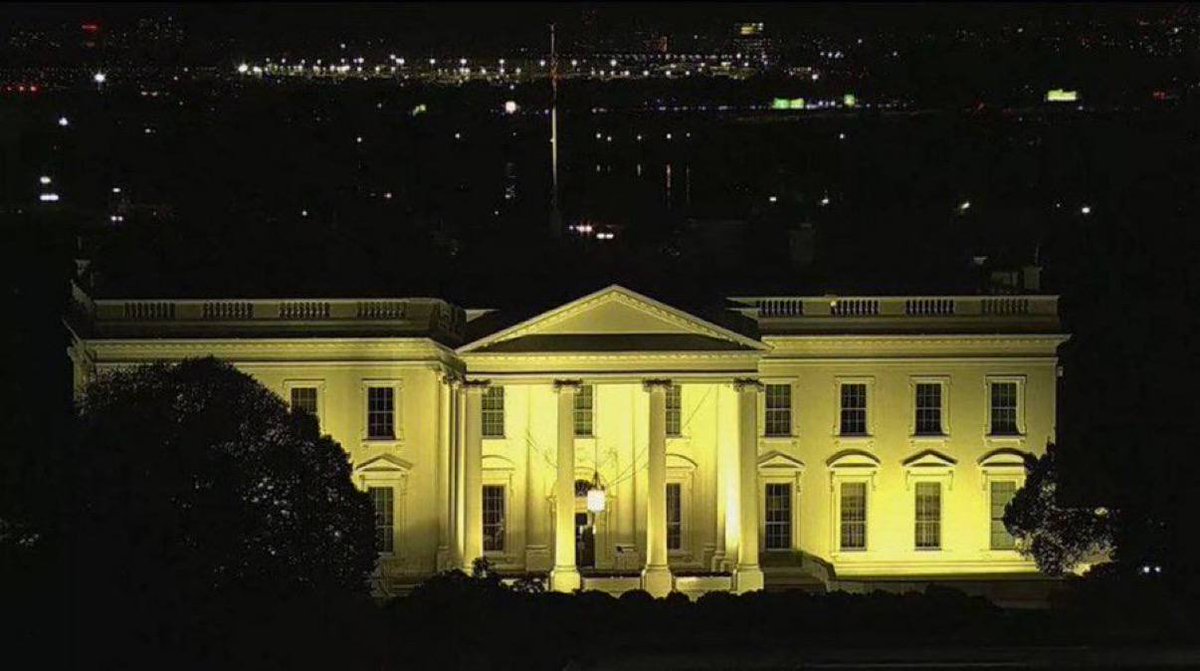 John Jr. tweet media