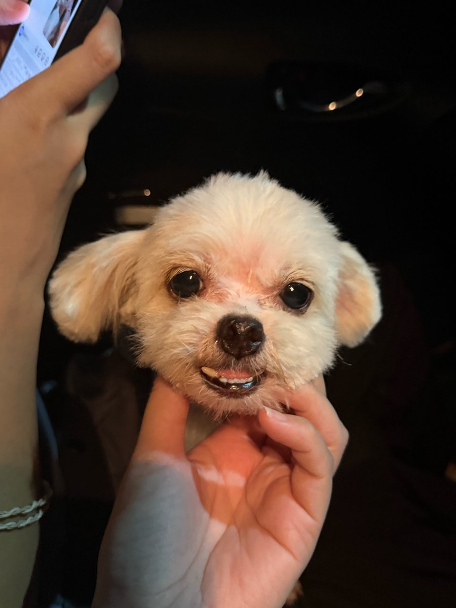 DNVP 💋 (Malonfamily) tweet media