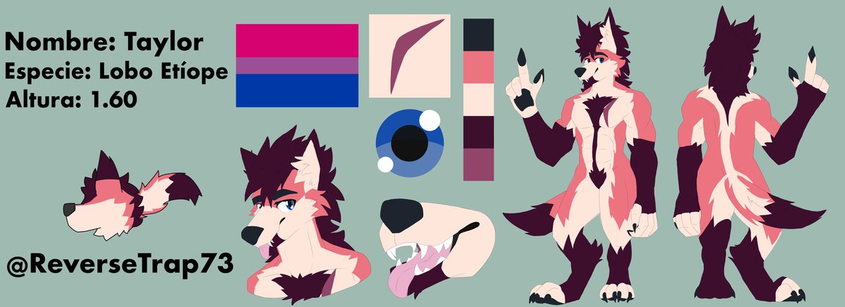 ReverseTrap Furry tweet media