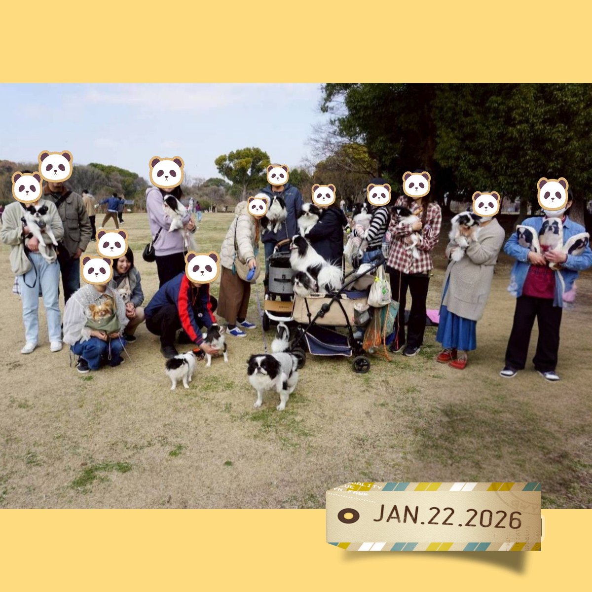 moozan's tweet photo. 今年2月22日 舎人公園での #狆お楽しみ会 のご報告🐼💕まだ寒いのではと少し心配してましたが、晴れ&amp;やや雲が出た暖かい日で、みんなでのんびり過ごせました。楽しいお話とワンコたちの可愛い姿✨ありがとうございました!!🐼次回は少し間が空いてまる🔸🔸１１月１日 🔸🔸開催予定です。
#狆 #狆オフ会 https://t.co/uiuPxoDvoM
