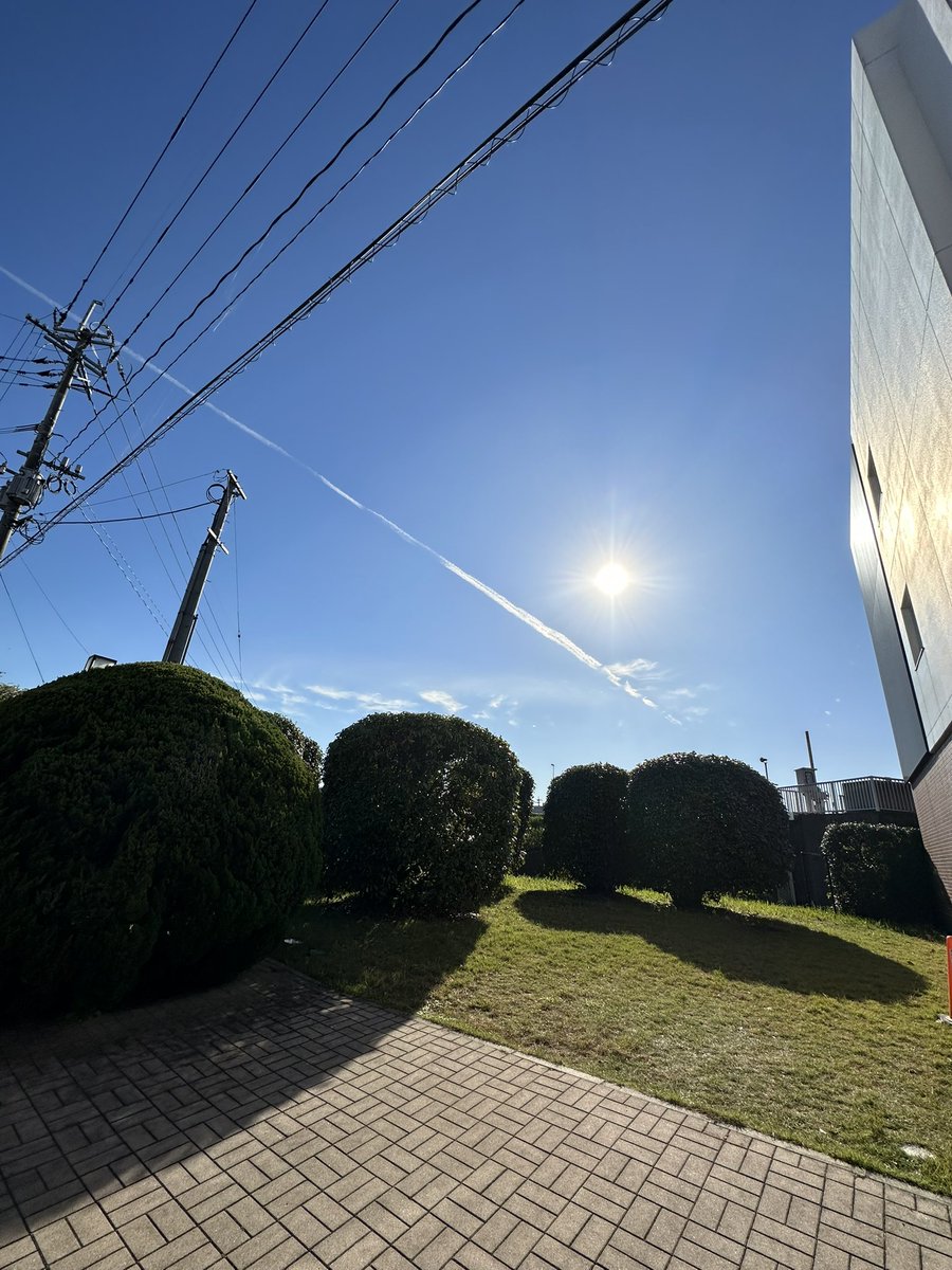 CHIE KATSUREN (@CHIE_KATSUREN) / Posts / X