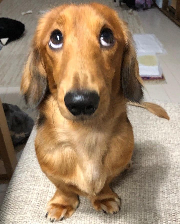 𝒎𝒊𝒍𝒆 tweet media