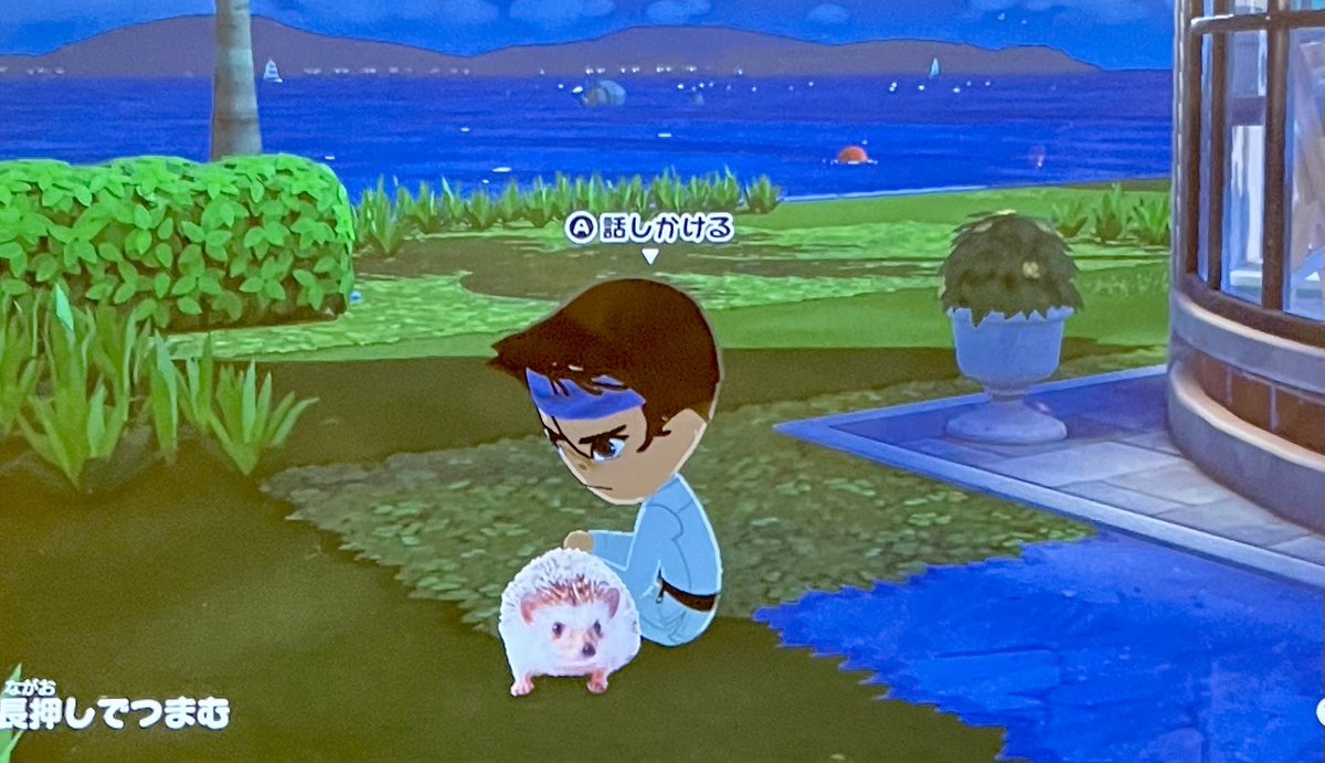 名無🌨 tweet media