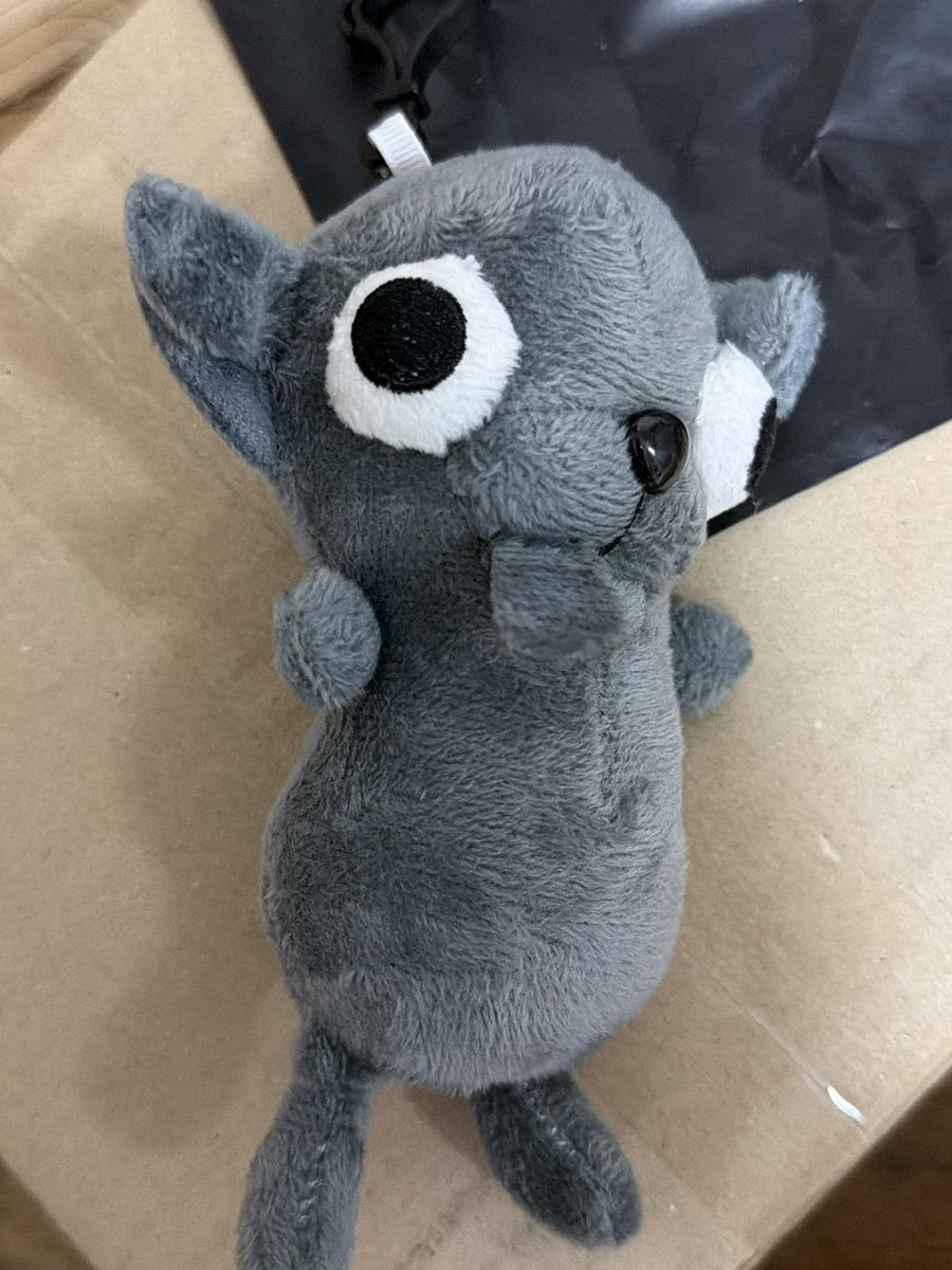 우덜식 tweet media