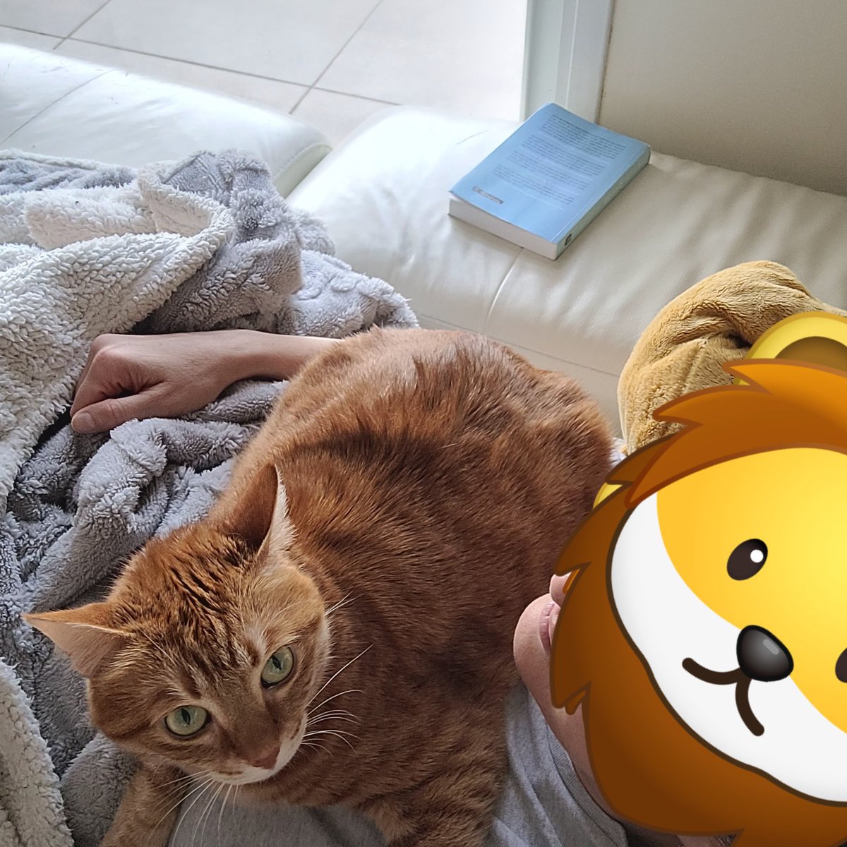 אני רק אשכב לך על החזה, אגרגר ואחנוק אותך לאט ובזהירות, כי נעים לי, נוח וחמים