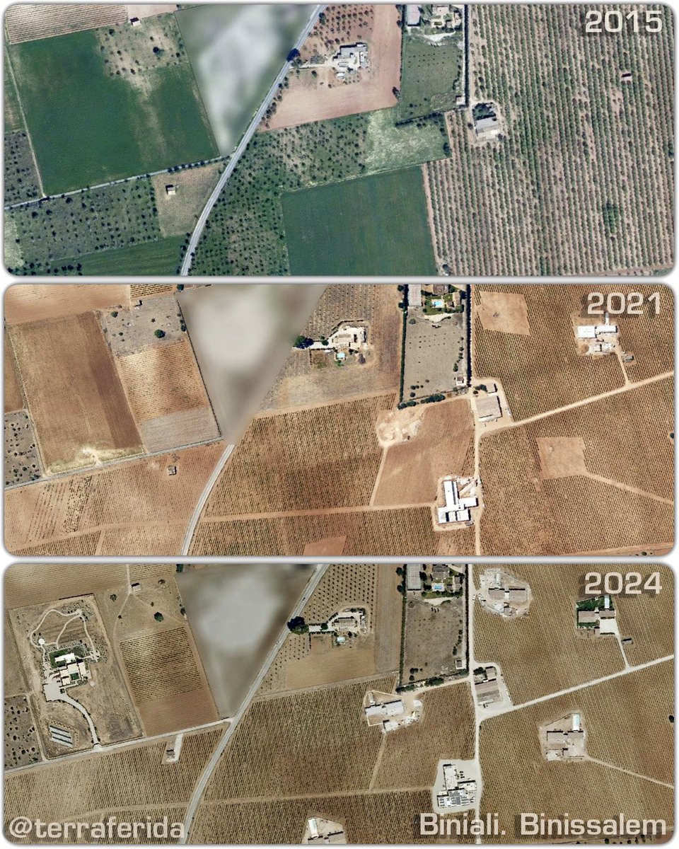 Terraferida tweet media