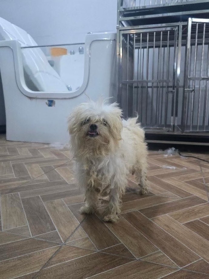 DNVP 💋 (Malonfamily) tweet media