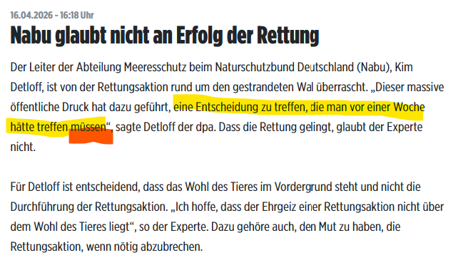 Linda Grünberg tweet media