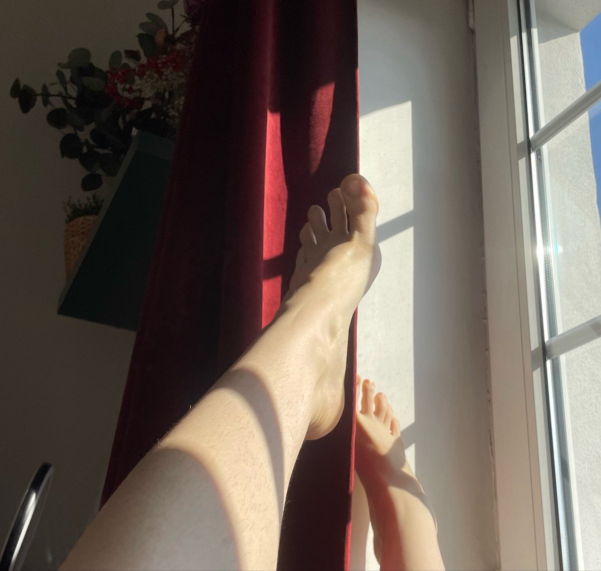 Rose 🥀 tweet media