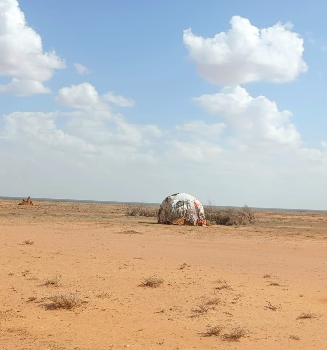 Mathias Kjaer tweet media