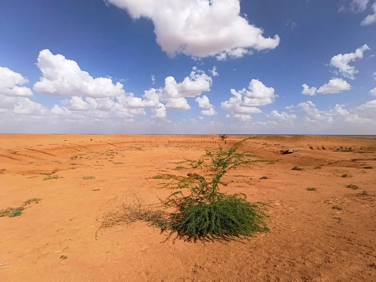 Mathias Kjaer tweet media