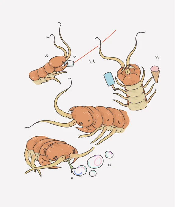 よく聞かれるので… 私が描いてるムカデのモデル個体 かわいさとキモさと怖さがちょうどいい塩梅ですごく良い
