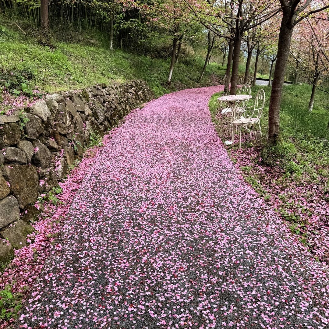 青溪(互fo) tweet media