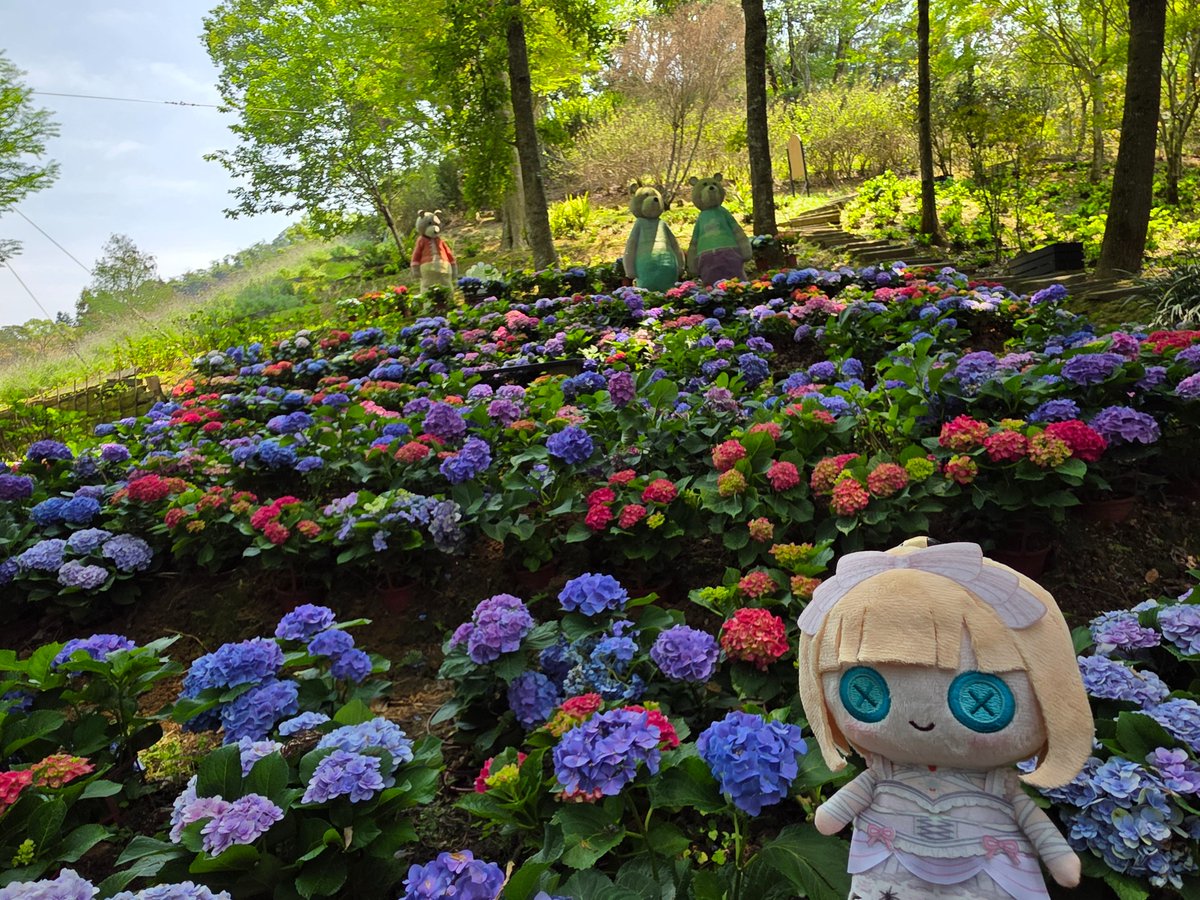 penonsses's tweet photo. After days of endless rain, the sky finally cleared up last weekend.
So I took them along for an adventure in the forest.
We stumbled upon a hidden garden and even found little fairy houses.
We took a moment to just soak in the gifts of nature.
#推し活はあとん日記
#FUWAMOCO https://t.co/1XCC7komPA