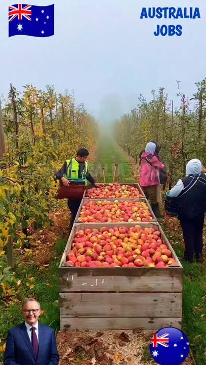 Eniola | Stocks & Strategy tweet media